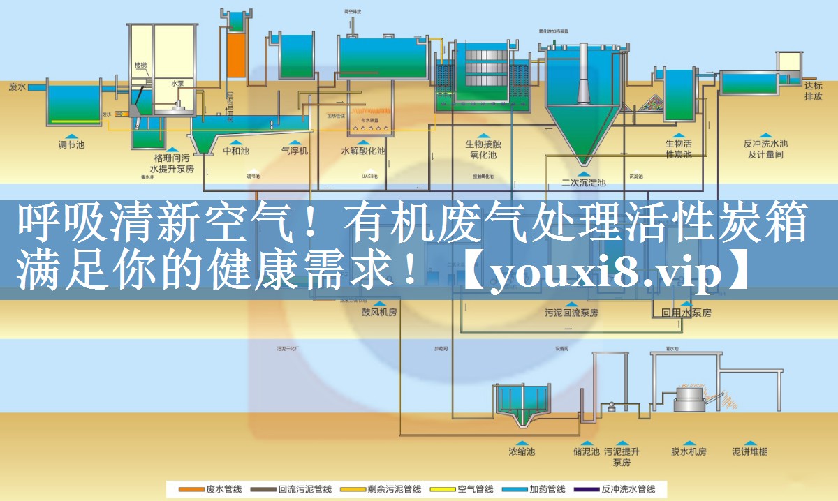 呼吸清新空气！有机废气处理活性炭箱满足你的健康需求！