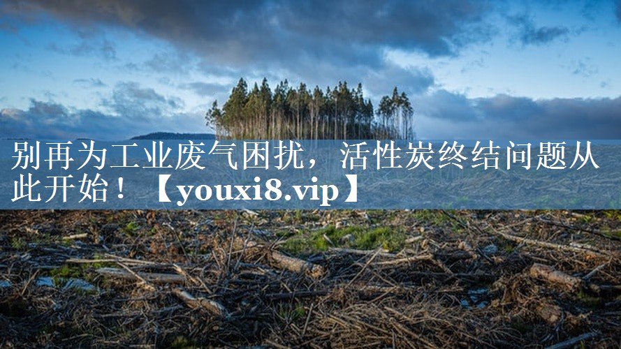 别再为工业废气困扰，活性炭终结问题从此开始！
