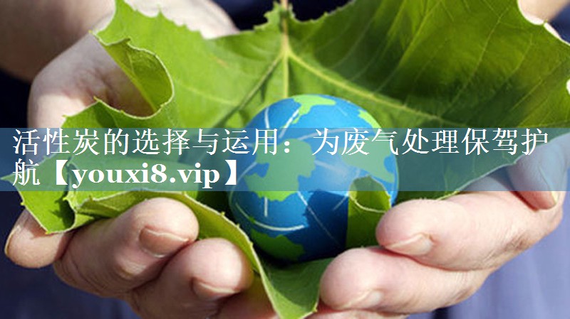 活性炭的选择与运用：为废气处理保驾护航